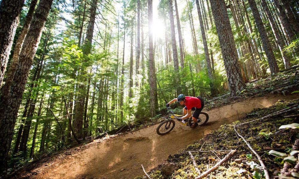 When do you start the summer? When do you start the summer?